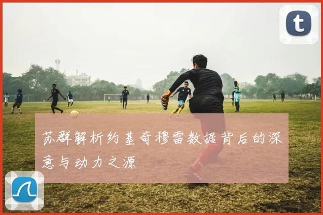 苏群解析约基奇穆雷数据背后的深意与动力之源